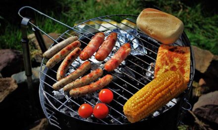 Barbecue : charbon, gaz ou électrique, lequel choisir ?