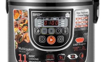 Cuiseur de riz : comment choisir celui qui cuit parfaitement ?