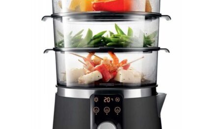 Cuiseur vapeur : quel modèle pour une cuisson saine ?