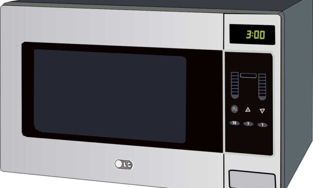 Guide d’achat : quel micro-ondes choisir ?