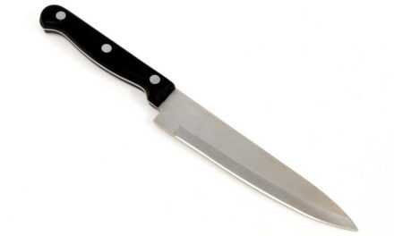 Compétences Culinaires Essentielles au Couteau