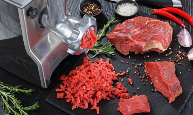Hachoir à viande : quel modèle pour une découpe efficace ?