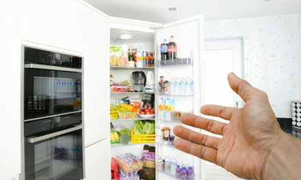 Guide d’achat : quel réfrigérateur choisir ?
