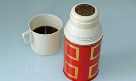Guía de compra: ¿qué botella isotérmica o termo elegir?