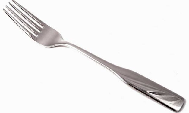 Quelle fourchette pour vos repas du quotidien ?
