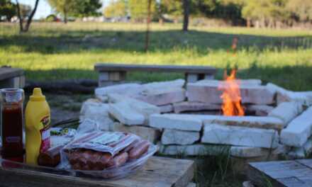 Méthodes de Cuisson Traditionnelles : Du Foyer au Mijoteur