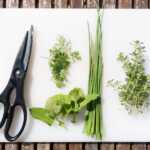 Comment conserver les herbes fraîches pour qu&rsquo;elles durent plus longtemps ?